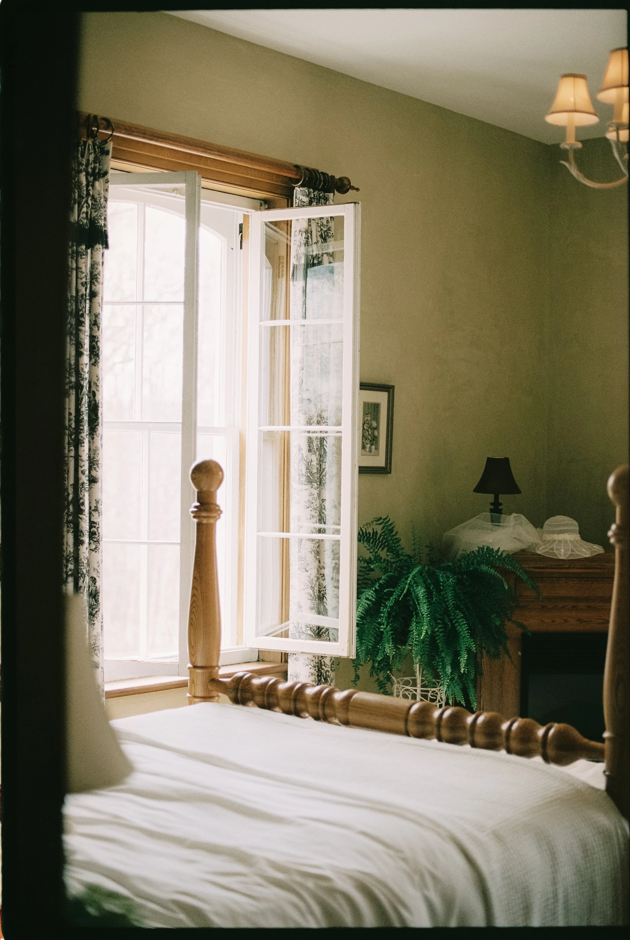 Captured by Virginia Luella