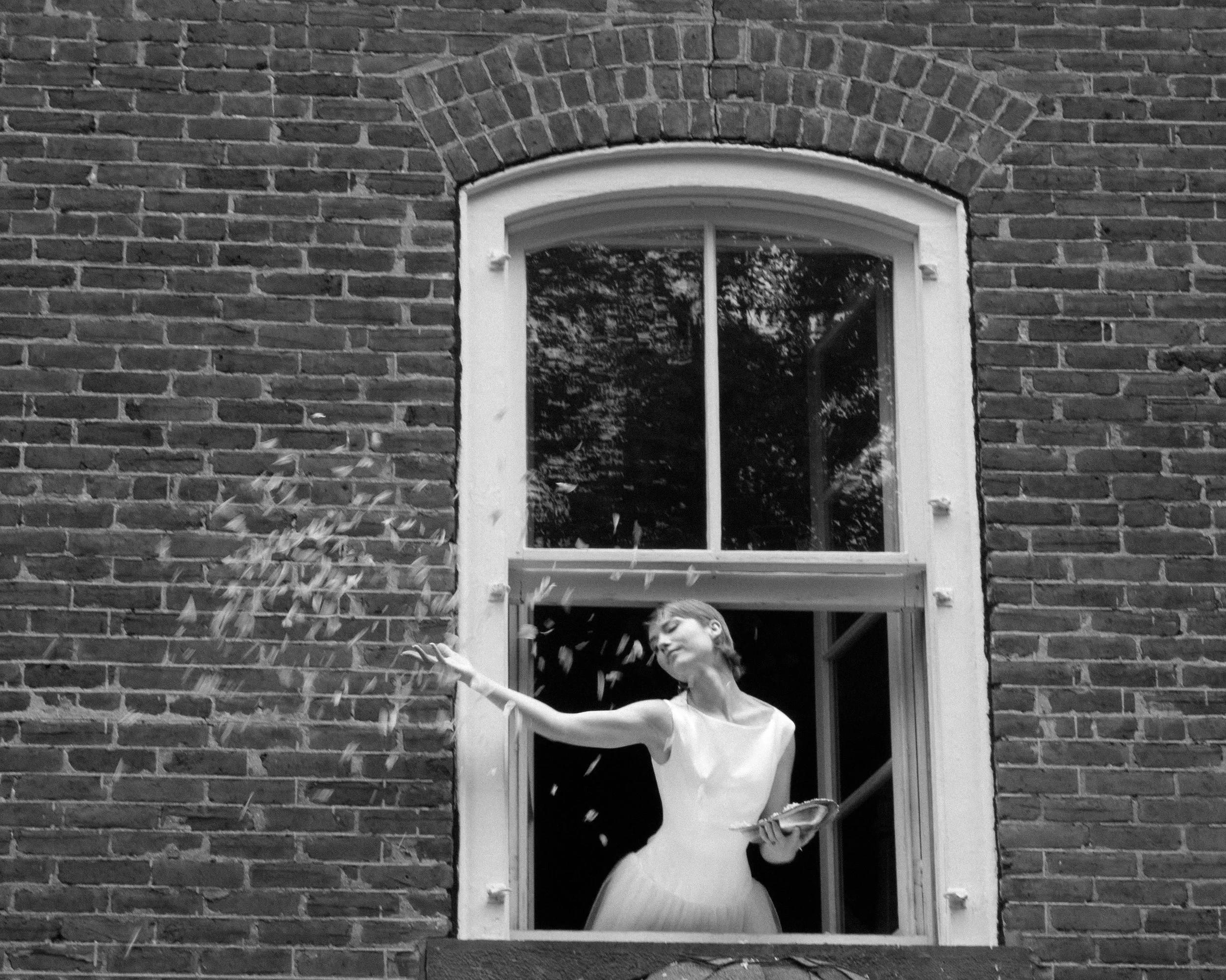 WindowFlorals_9436.1.jpg