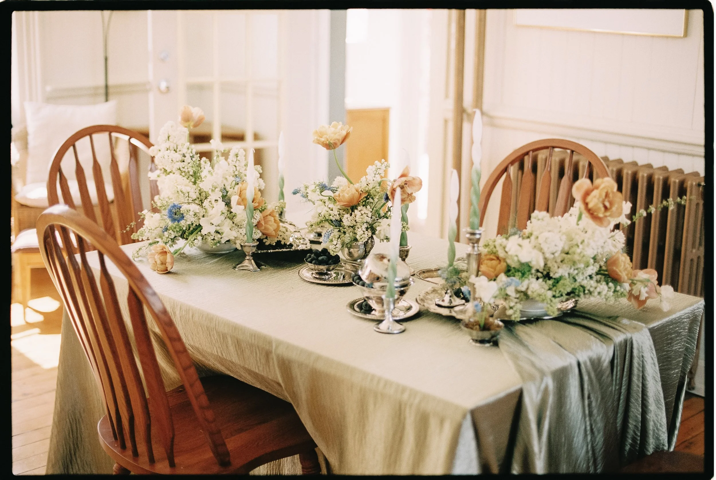 Captured by Virginia Luella