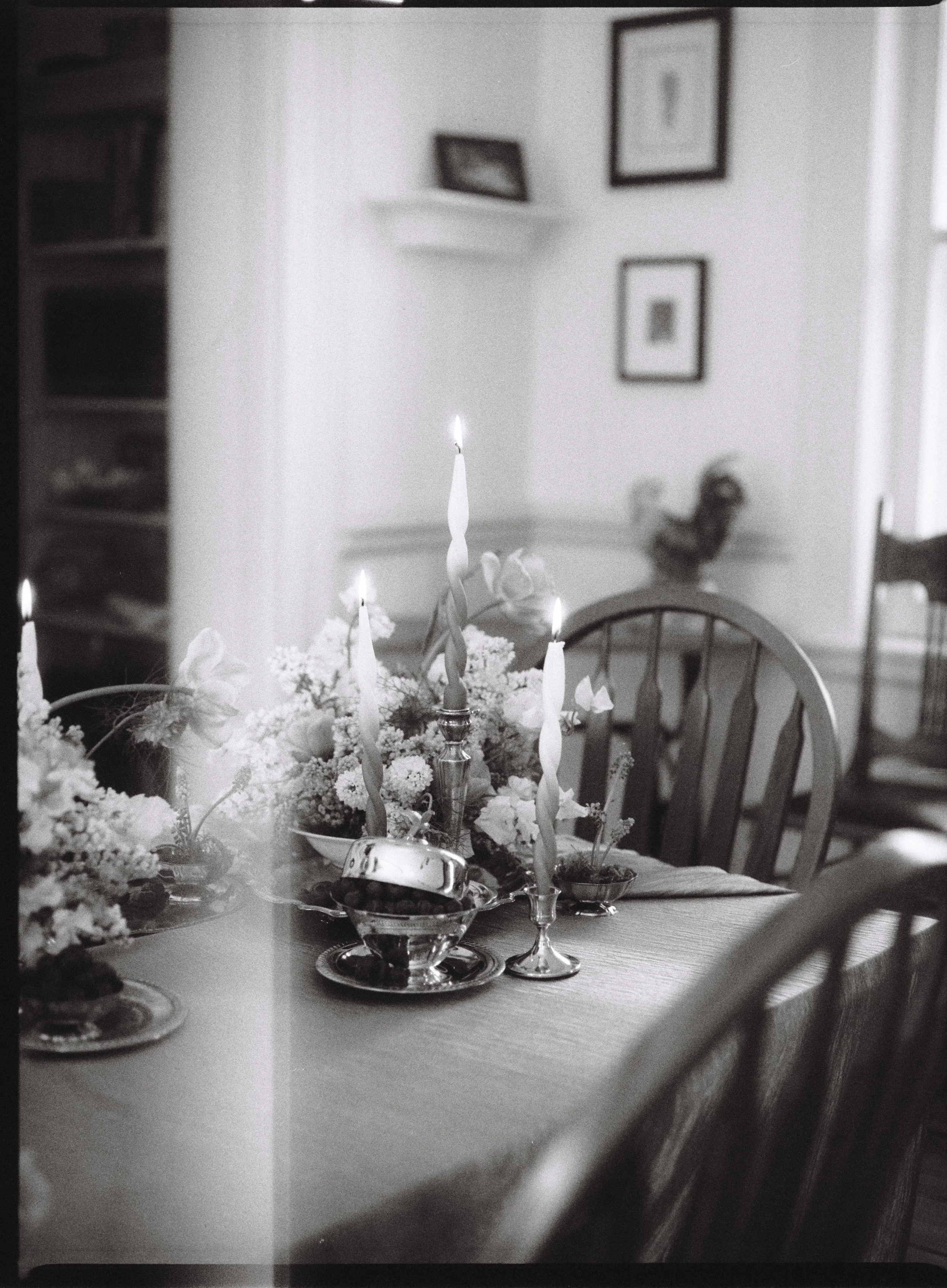 Captured by Virginia Luella
