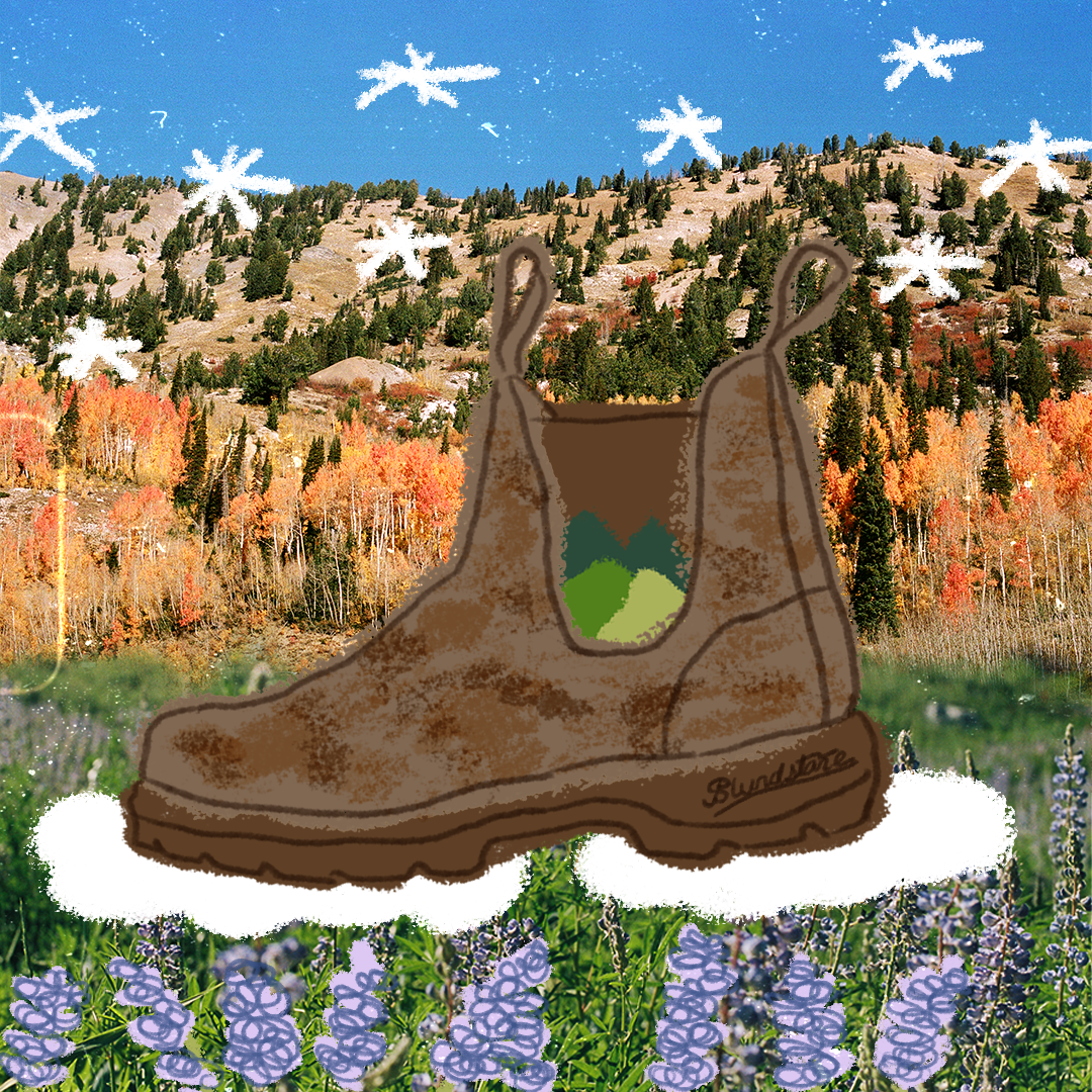 illustrated collage with my film photography, art contest entry