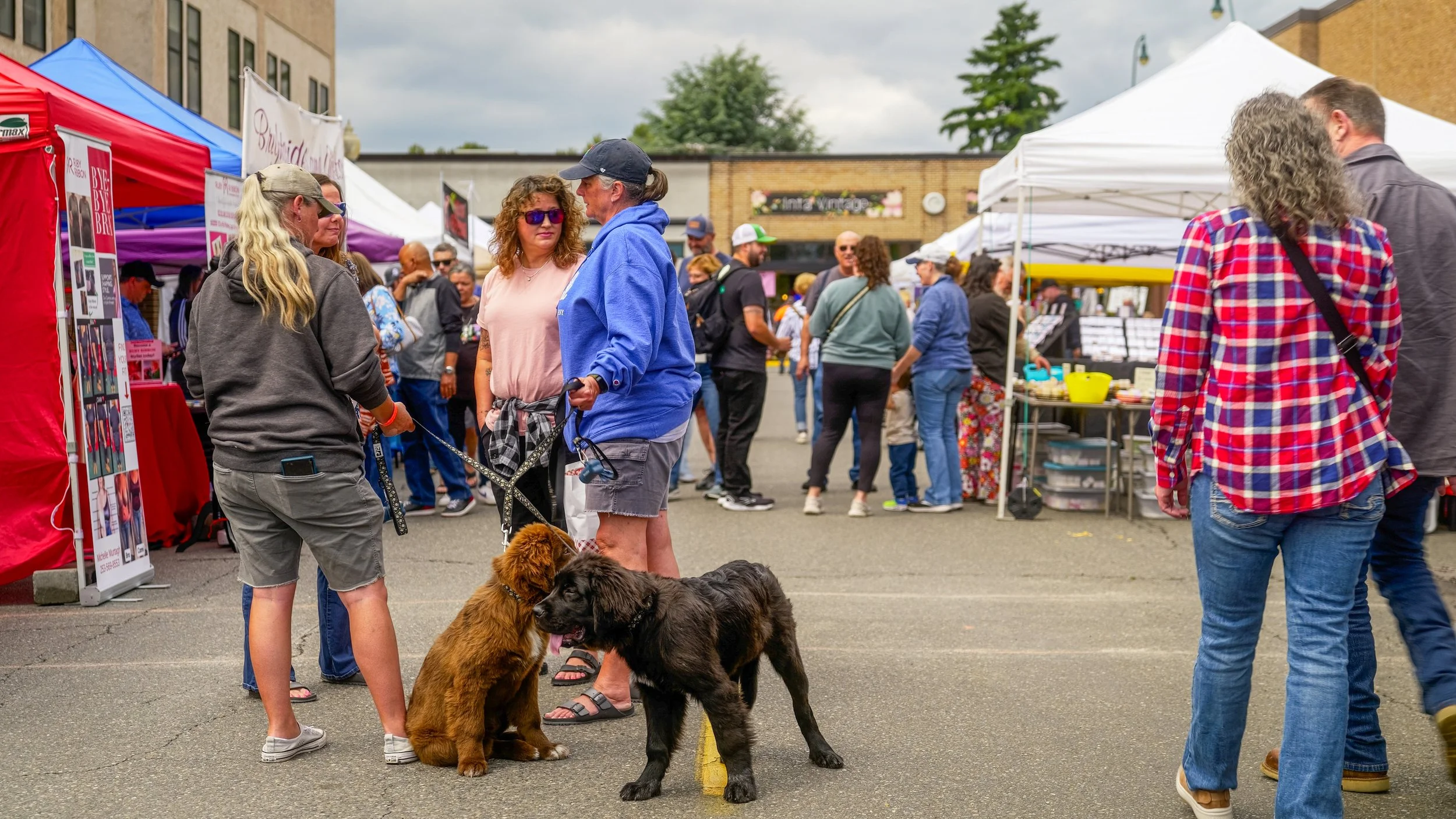 Rhubarb days 2025 photos color-100.jpg