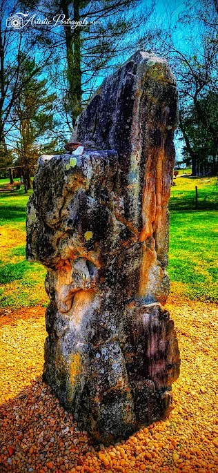 20260325_142232~2.jpg