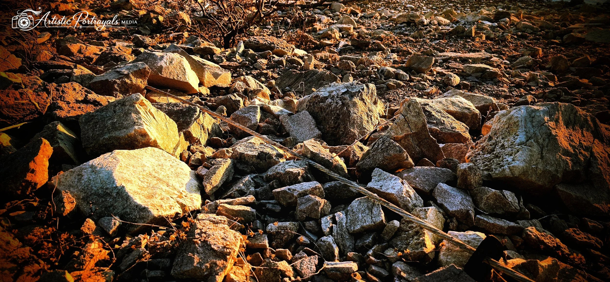 20260328_184554~2.jpg