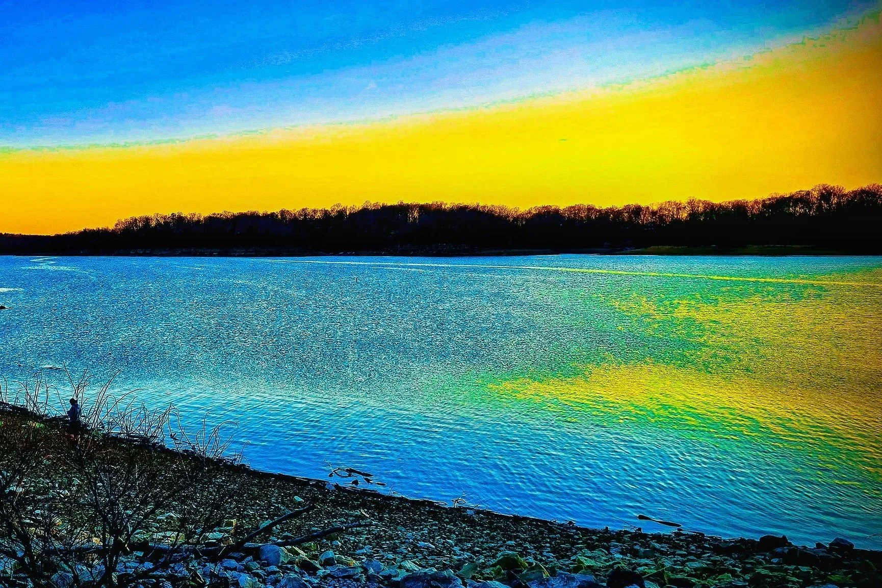 Barren River Lake Gallery