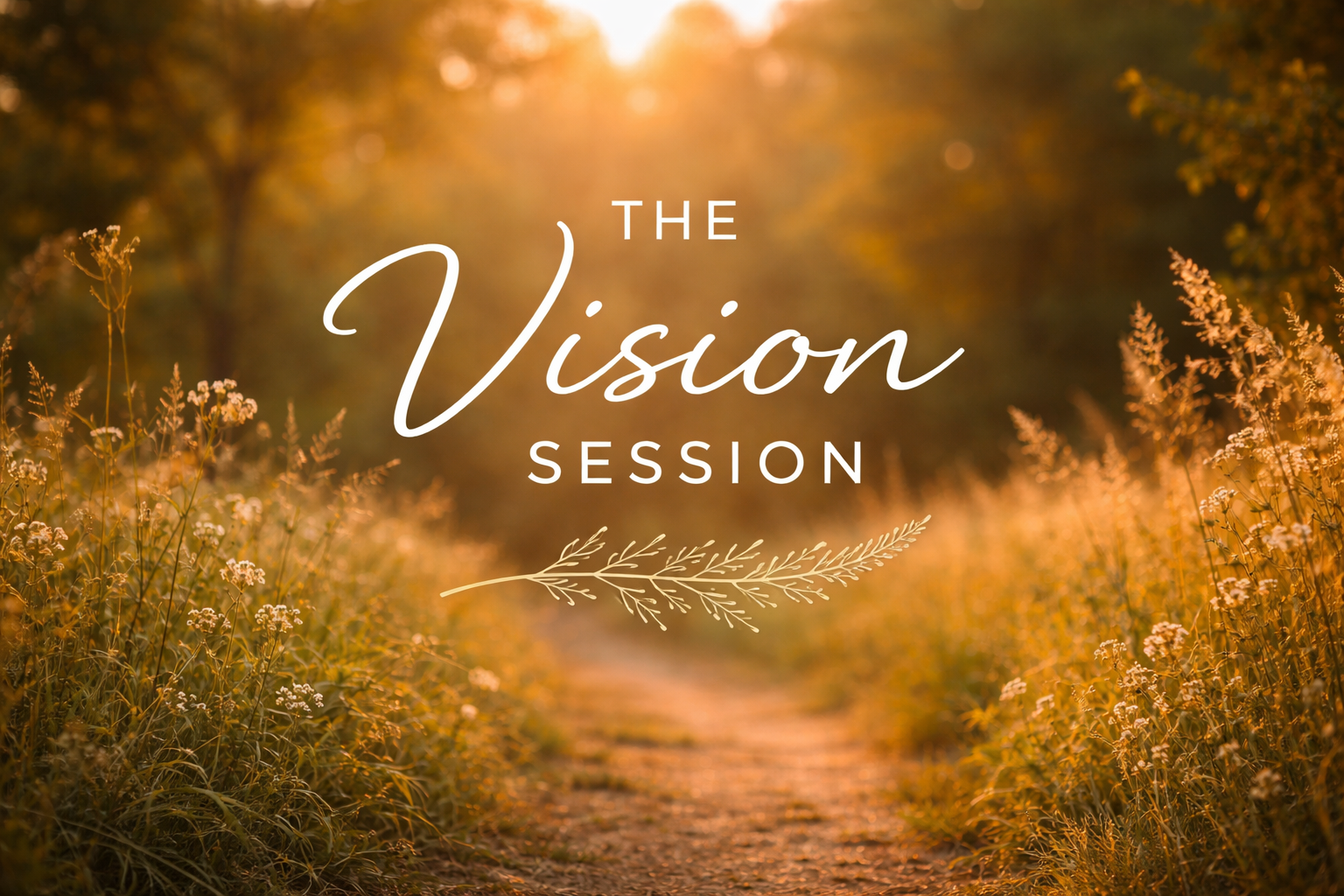 The Vision Session
