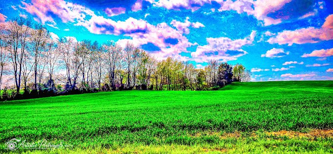 img_1774904014957.jpg