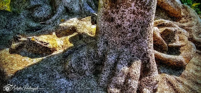 20260325_143035~2.jpg