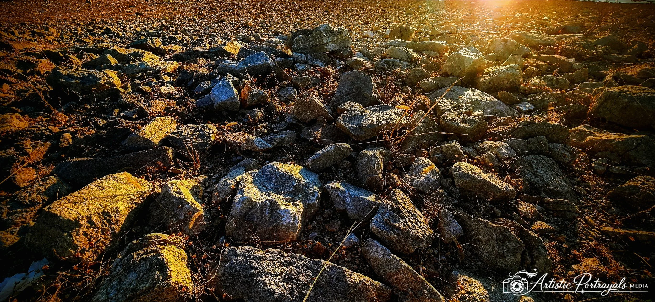 20260328_183324~2.jpg