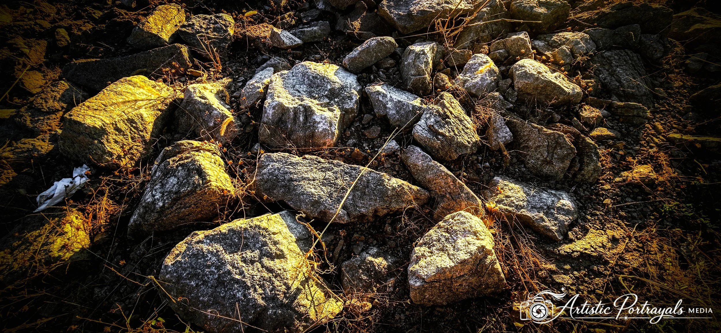 20260328_183319~2.jpg