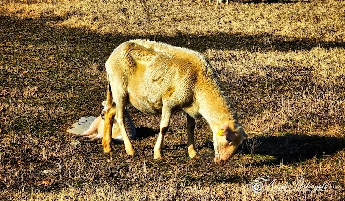 img_1772151639539.jpg