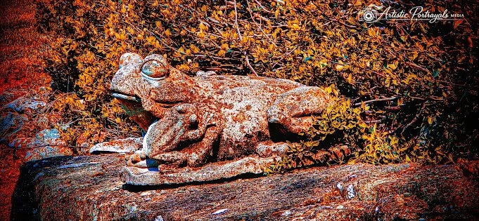 20260325_142902~2.jpg