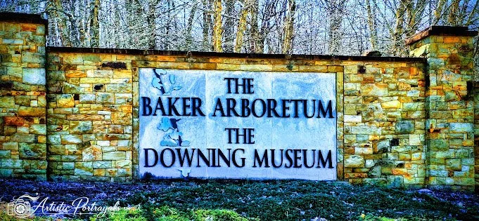 Baker Arboretum Gallery