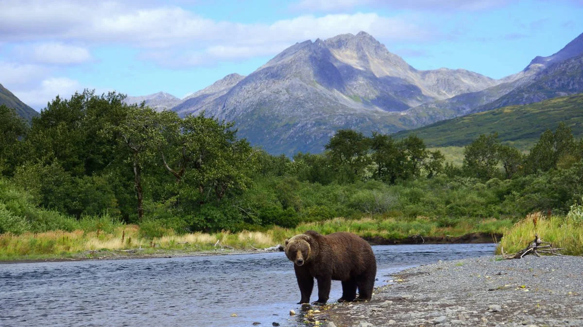 Ana Lozano, El Salvador