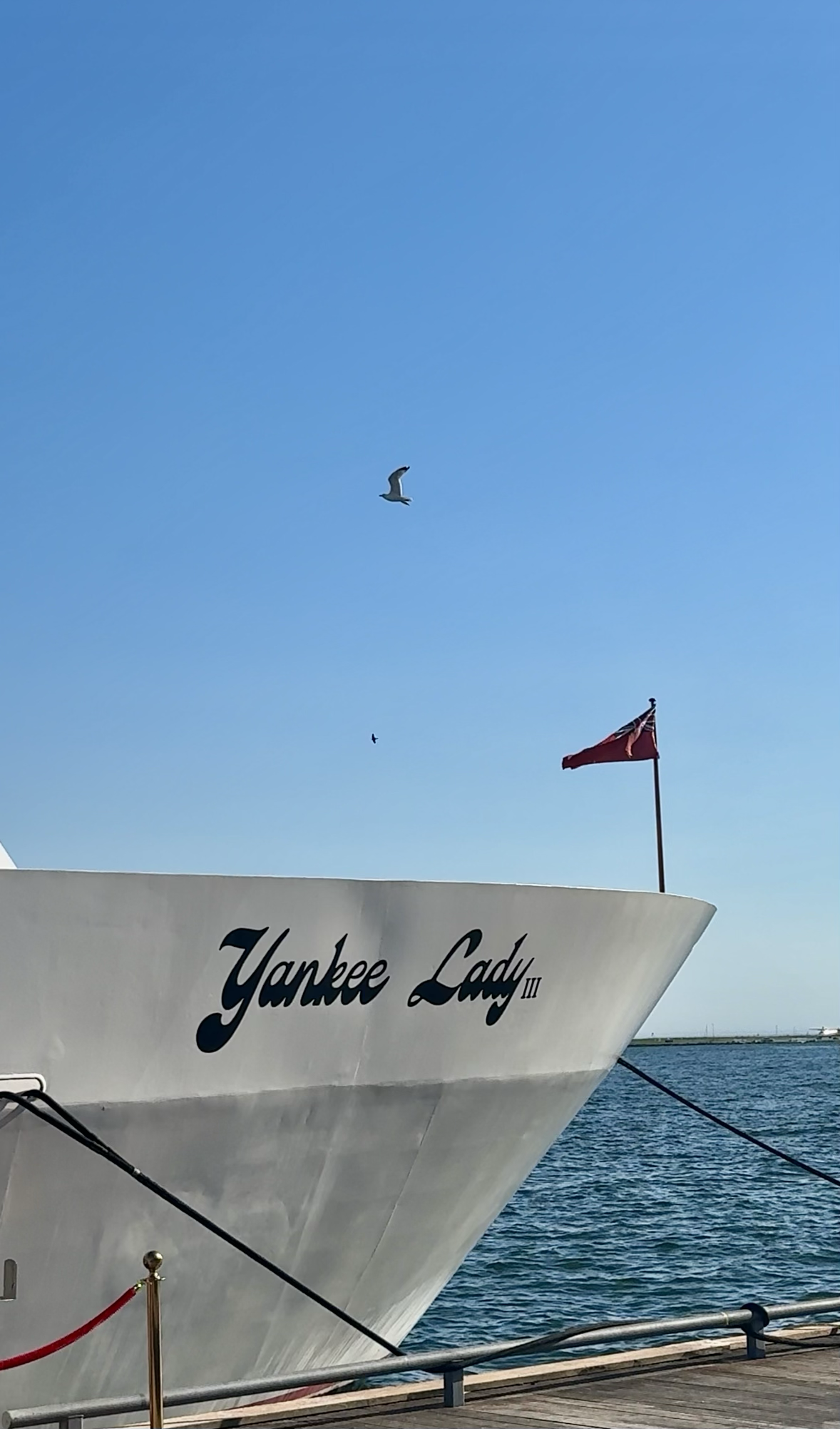 yacht.png