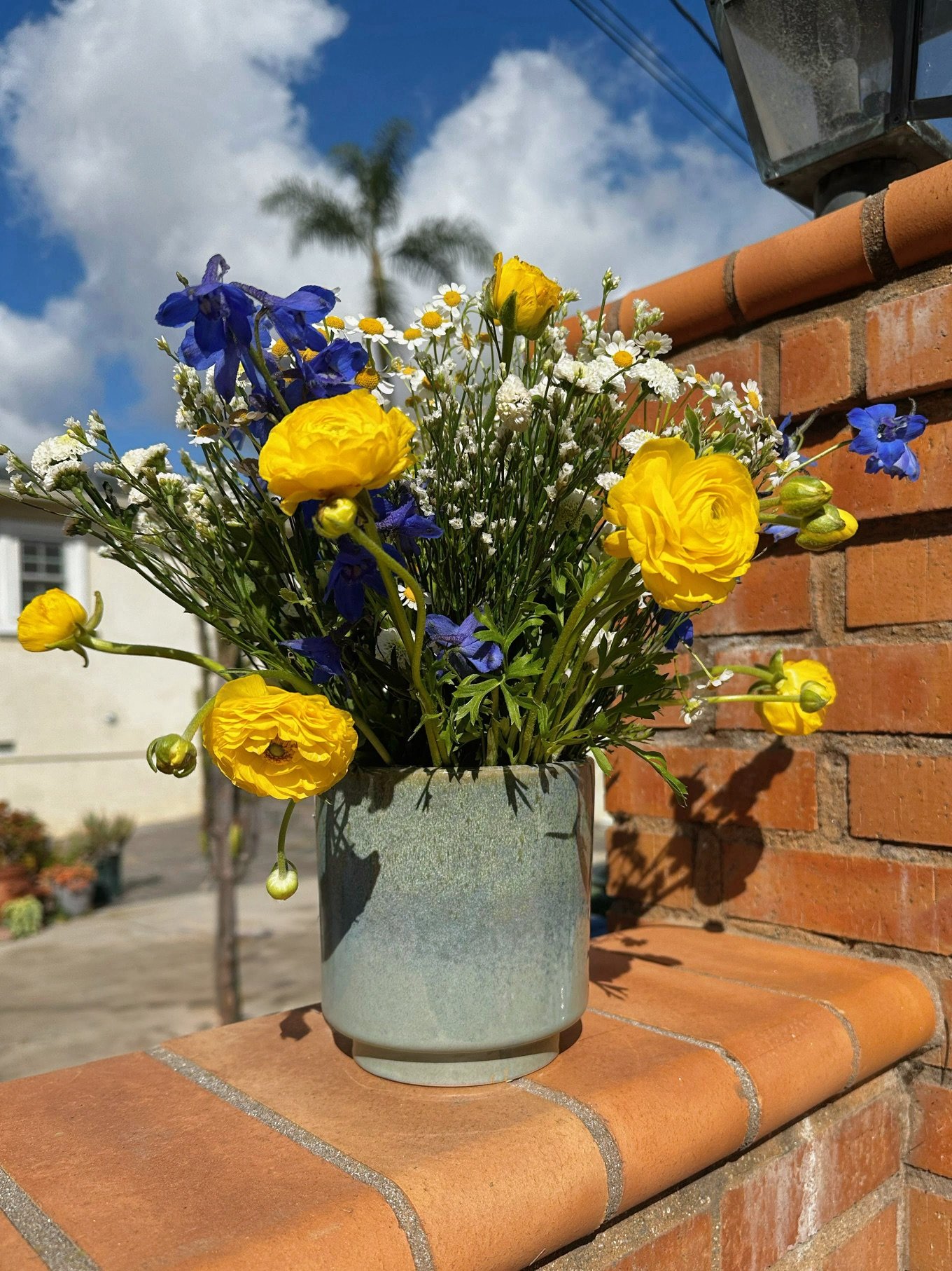 4D738567-CED9-4699-8490-7A83CAA94049.JPG