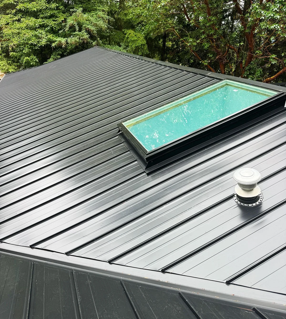Black metal roof with a large rectangular skylight and a roof vent, surrounded by green trees.