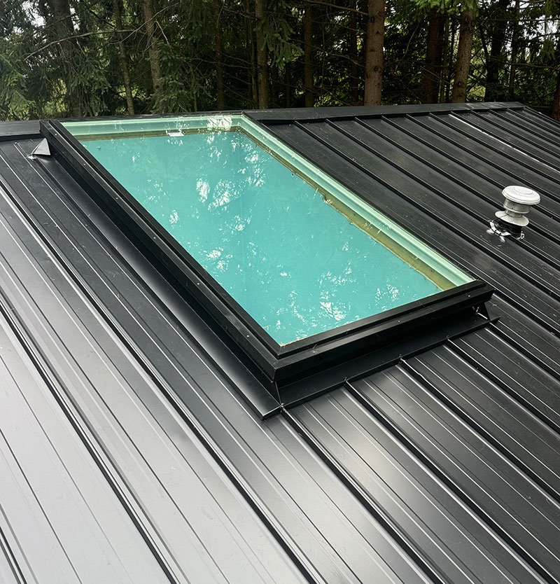 A rectangular skylight with glass panes on a metal roof, surrounded by a black frame, reflecting trees and sky.