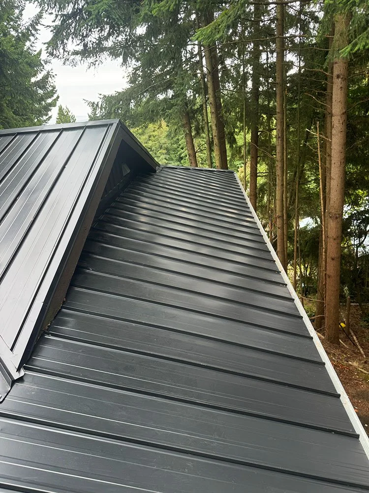 Close-up of a metal roof on a building, with a forest of tall trees in the background.