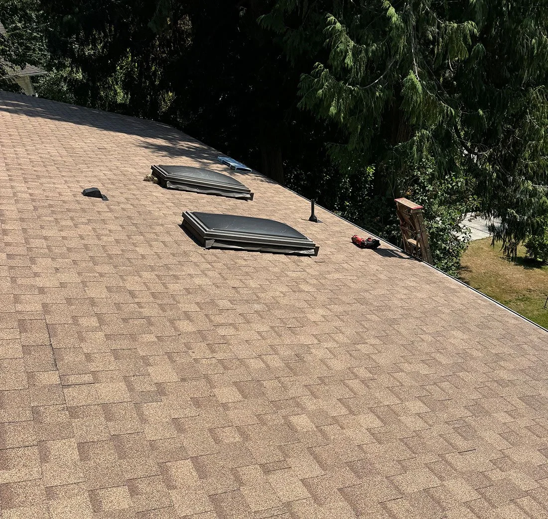 View of a rooftop with two roof vents, a vent cover, a small black object, and a red power tool, with trees in the background.