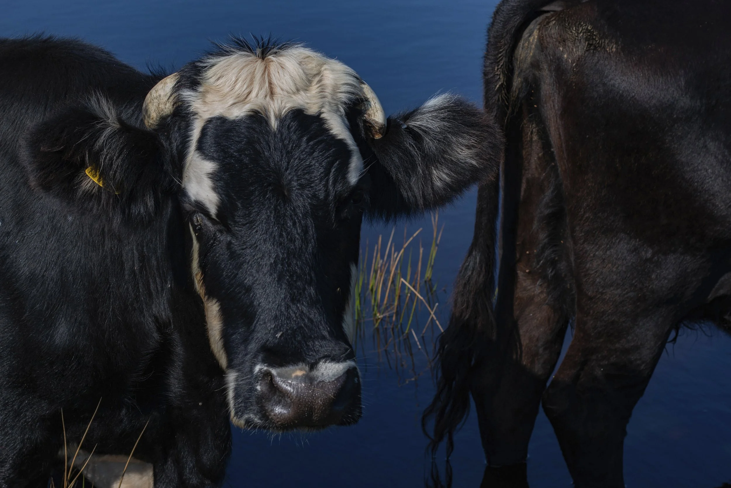 To Feel The Sun From Both Sides 2024