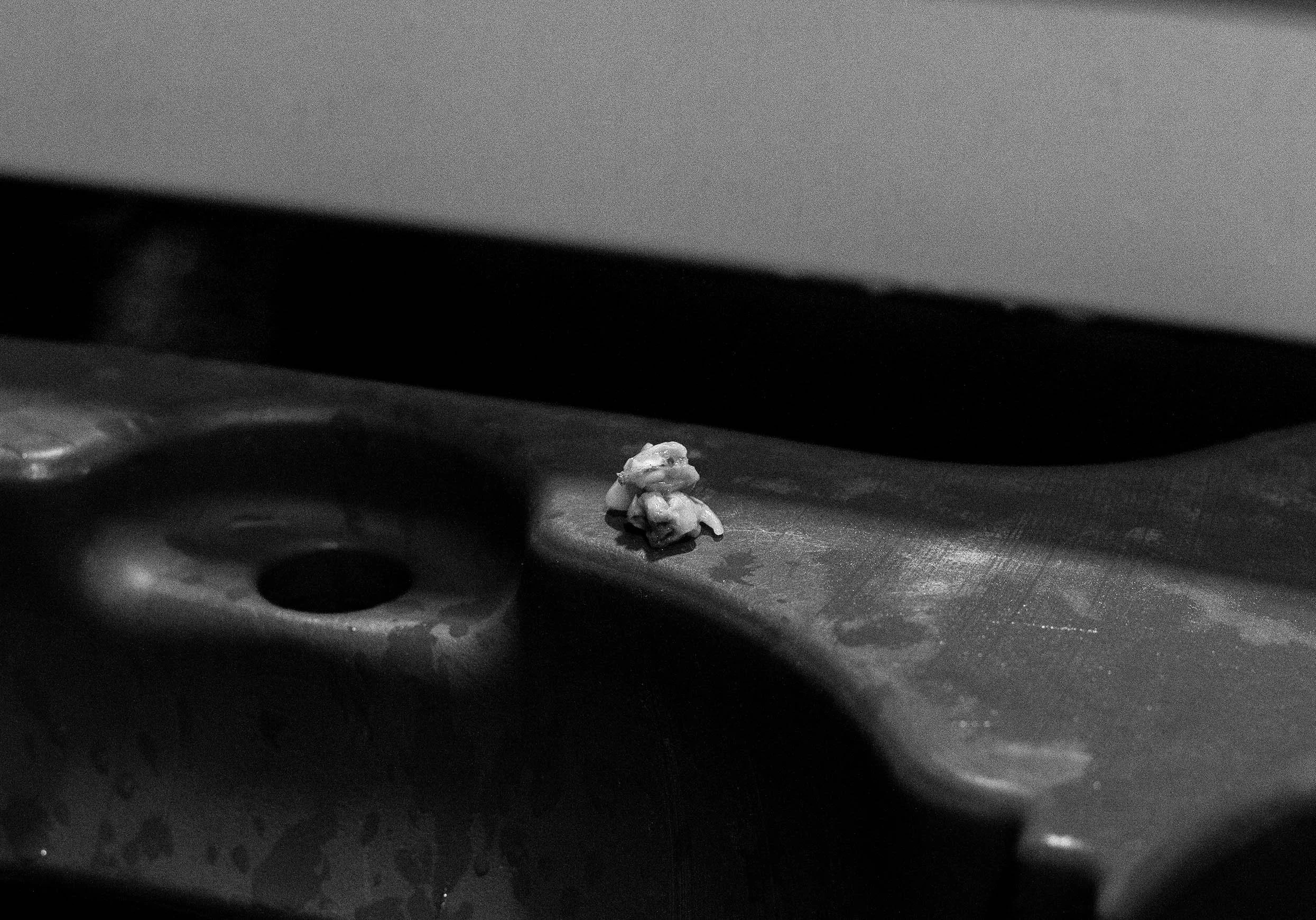 The Last of the Donkey Cocklers 2026