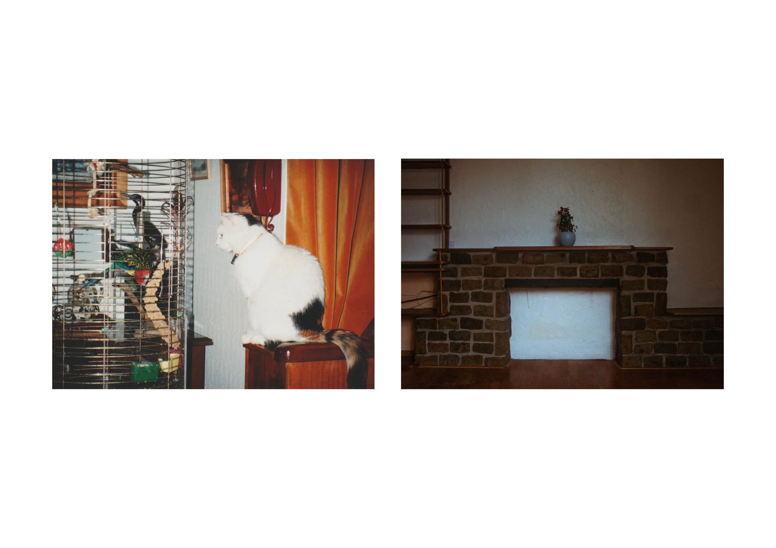 7th print layout copy.jpg