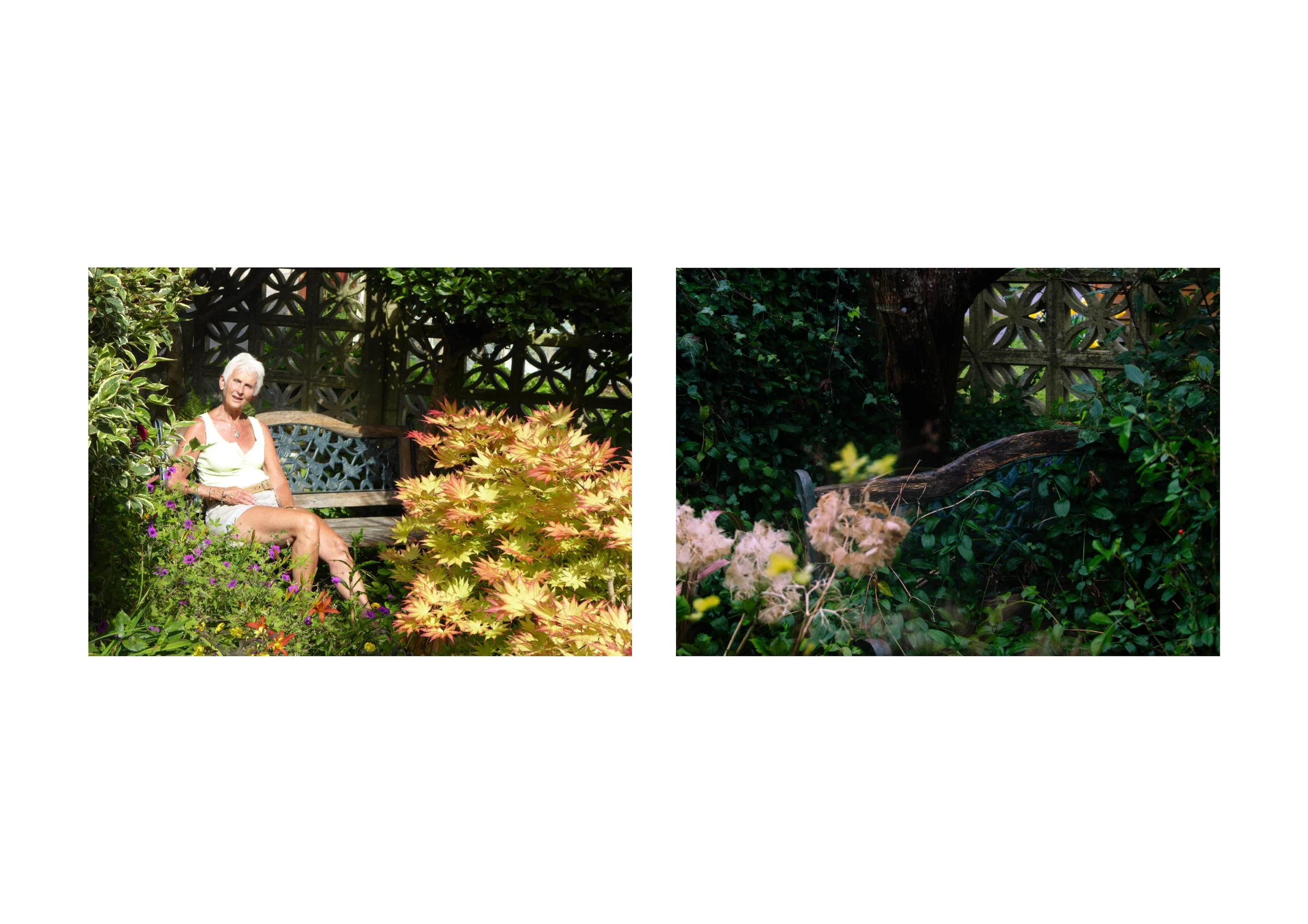 1st print layout jpeg.jpg