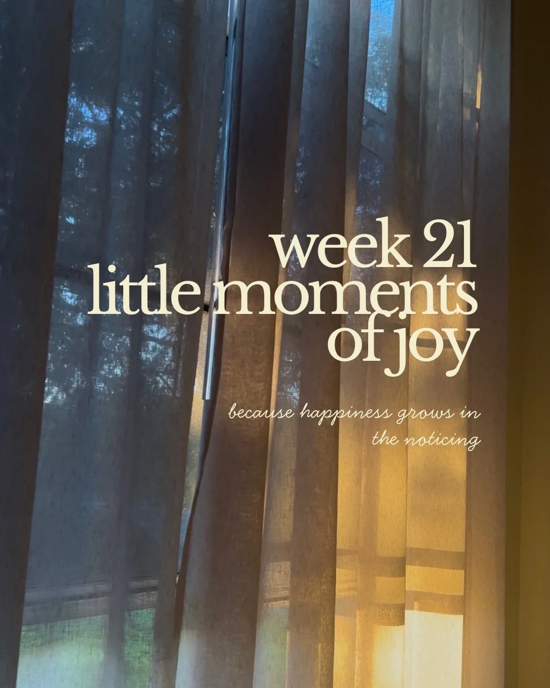 Week 21 | Record of Small Joys