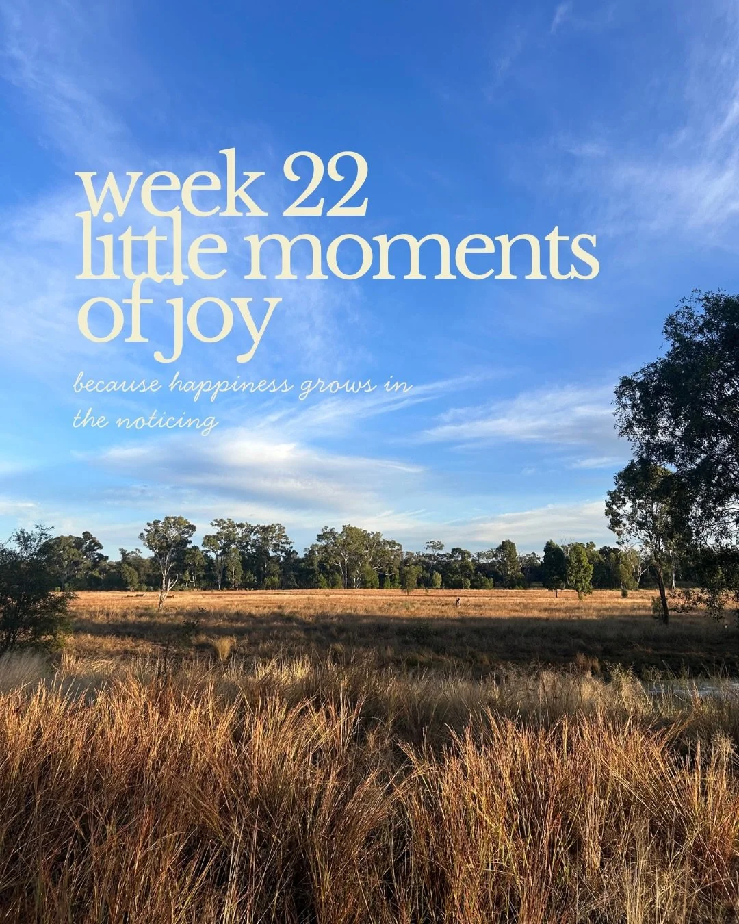 Week 22 | Record of Small Joys 🍂✨🌞🥂🎧