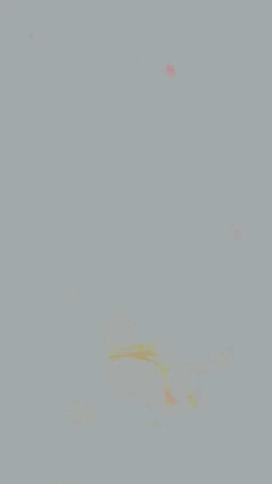 449222582_791969173129647_1347543630804201767_n.jpg