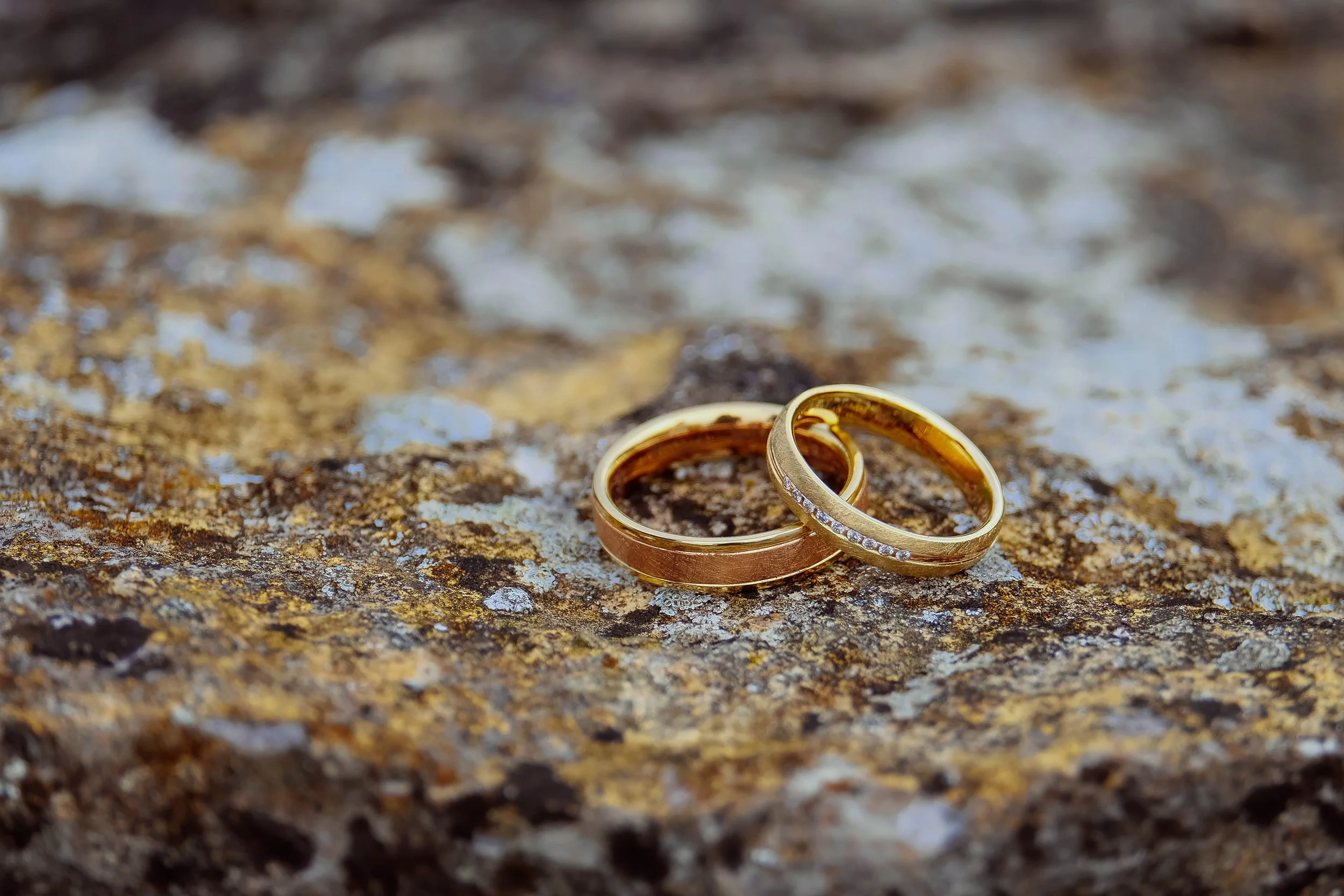Zwei goldene Eheringe liegen auf einer moosbedeckten Oberfläche.