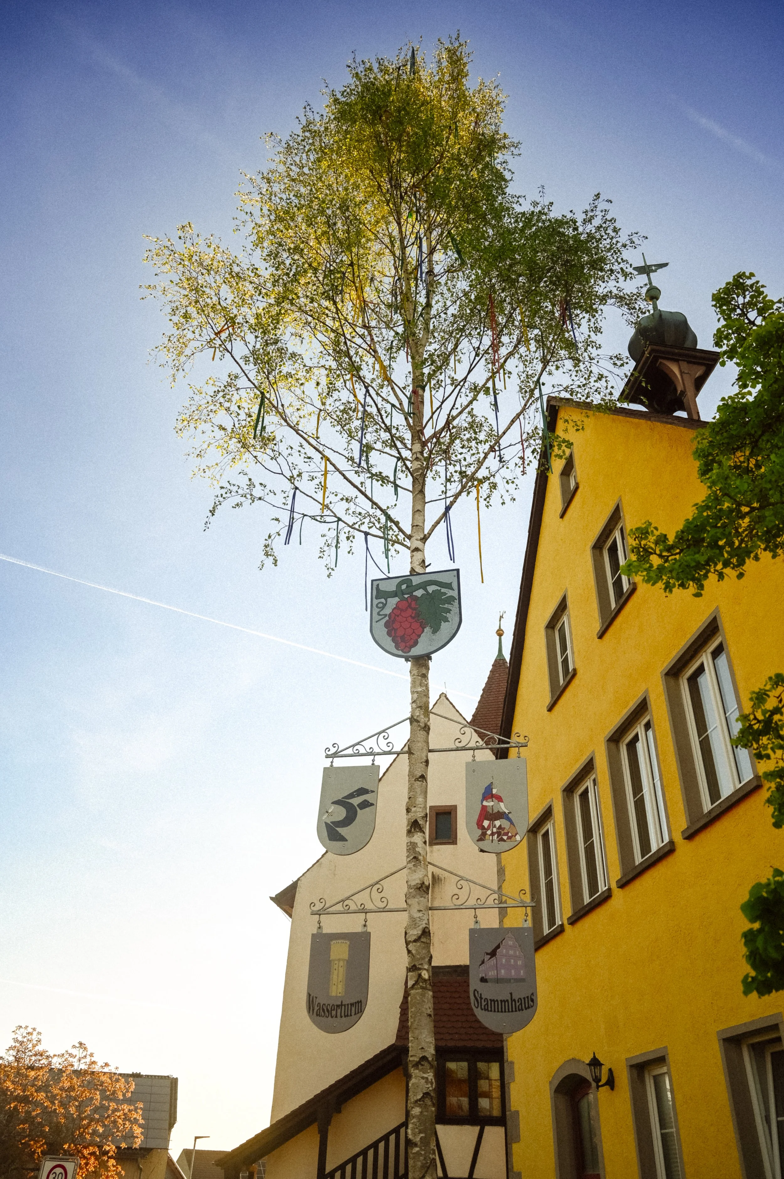 Ein Baum mit bunten Bändern, die an den Zweigen hängen, neben einem gelben Gebäude mit einem Turm und einer Wetterfahne, bei Sonnenuntergang.