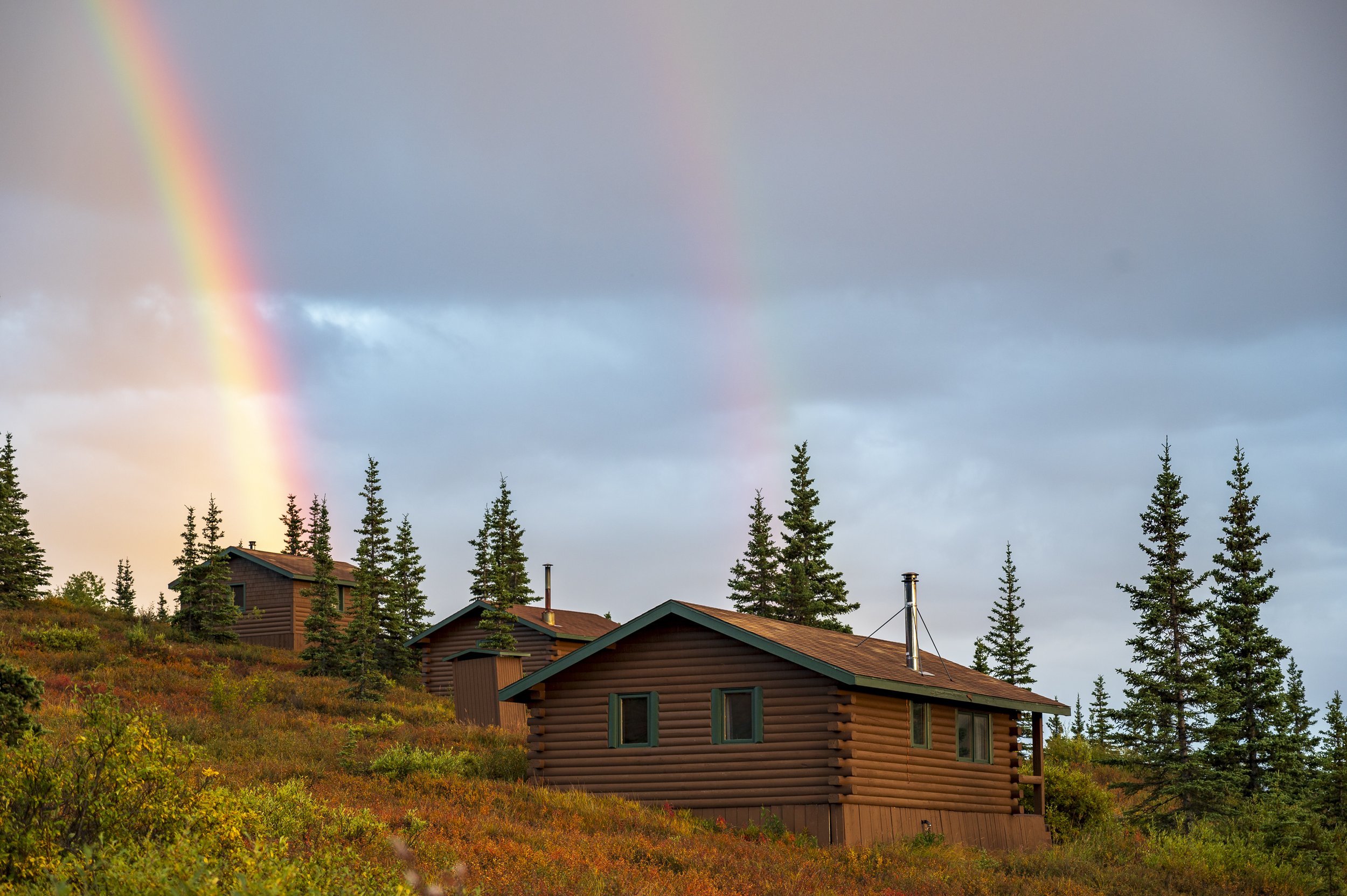 Guest Cabins at Camp Denali