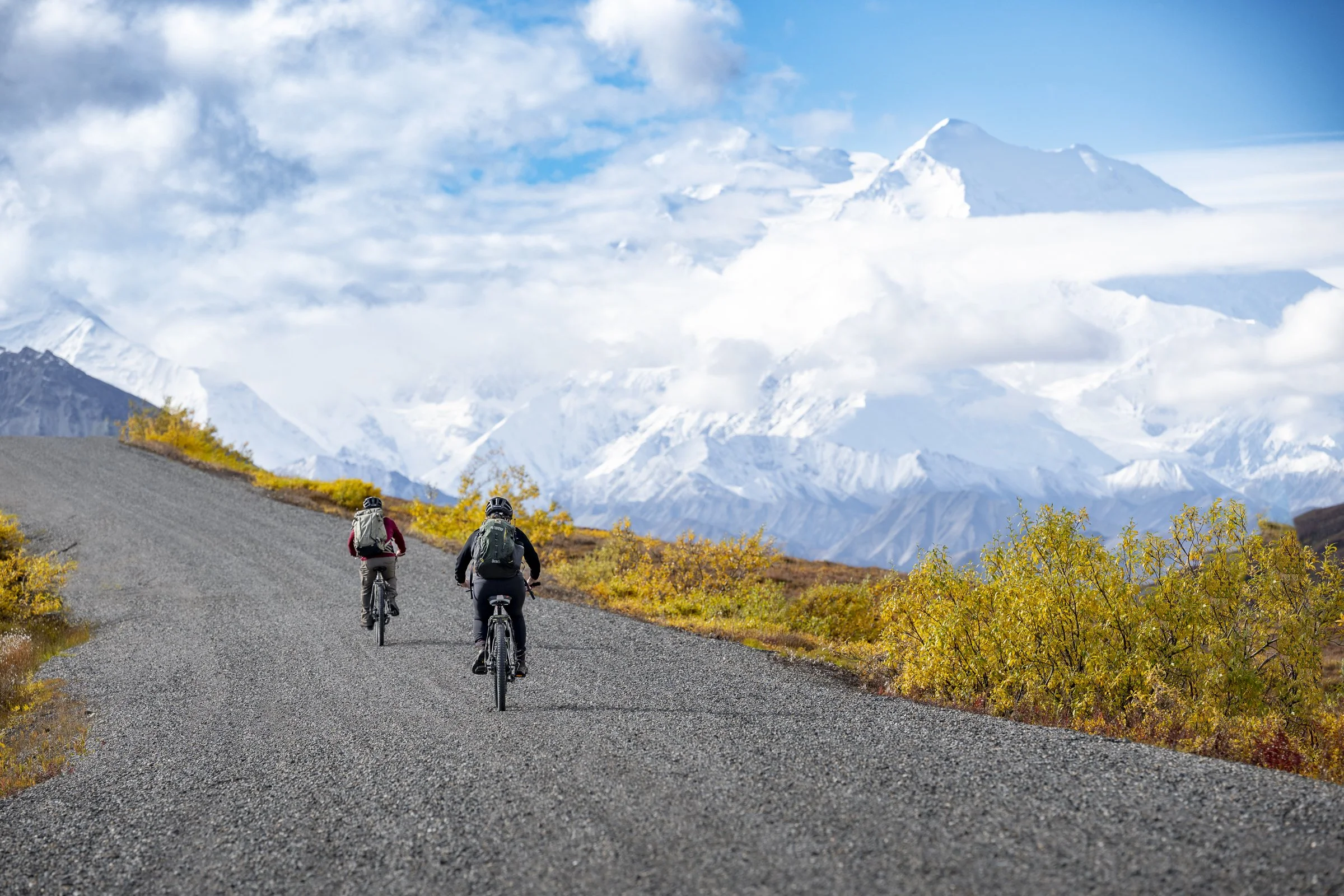Cycling the park road, Denali National Park