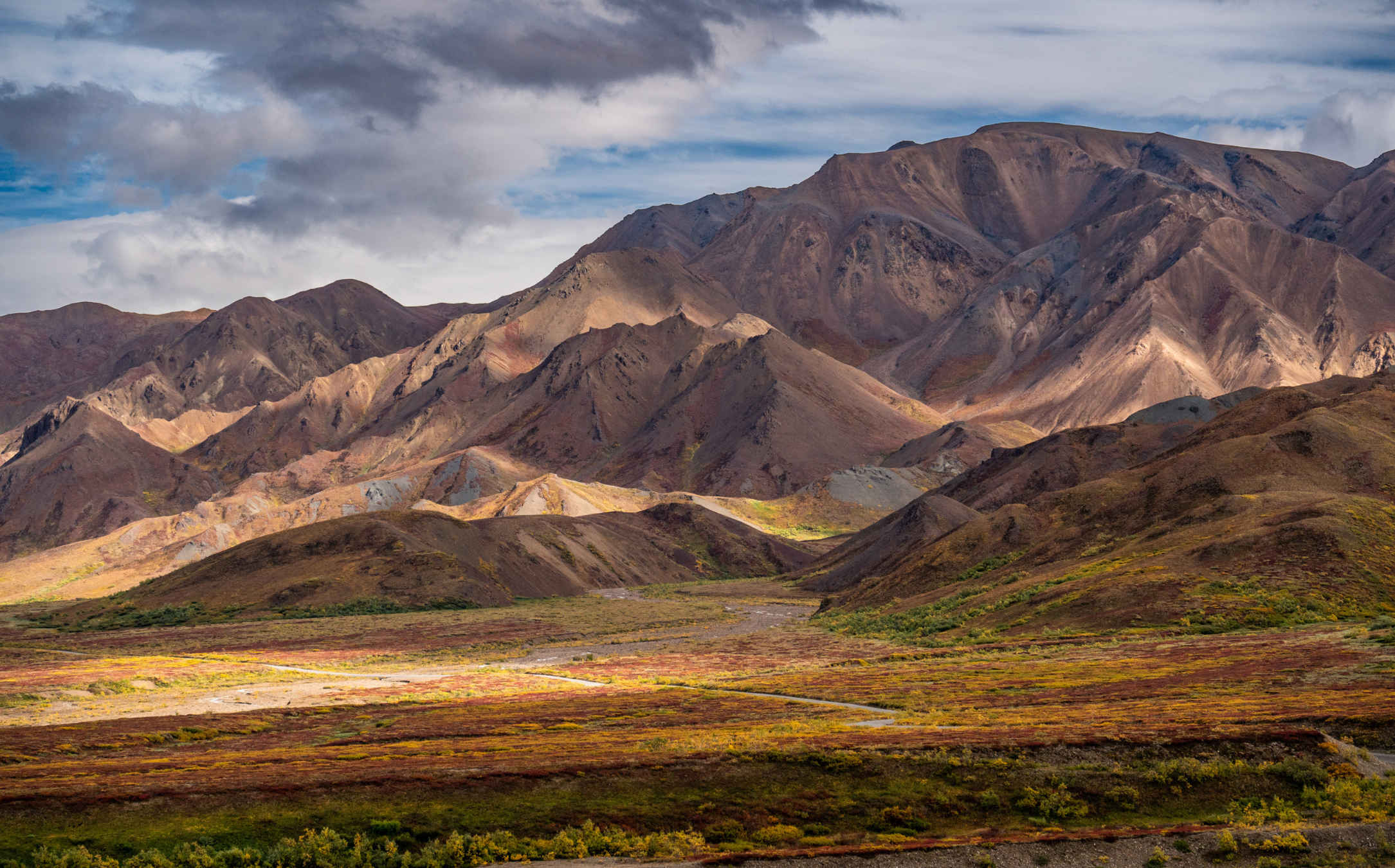 Denali National Park Landscape