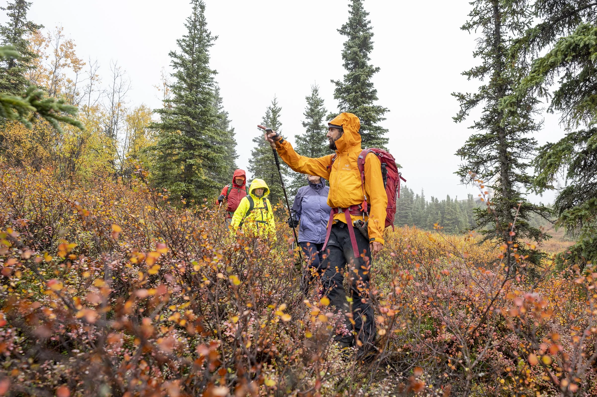 Guided Hikes at Camp Denali