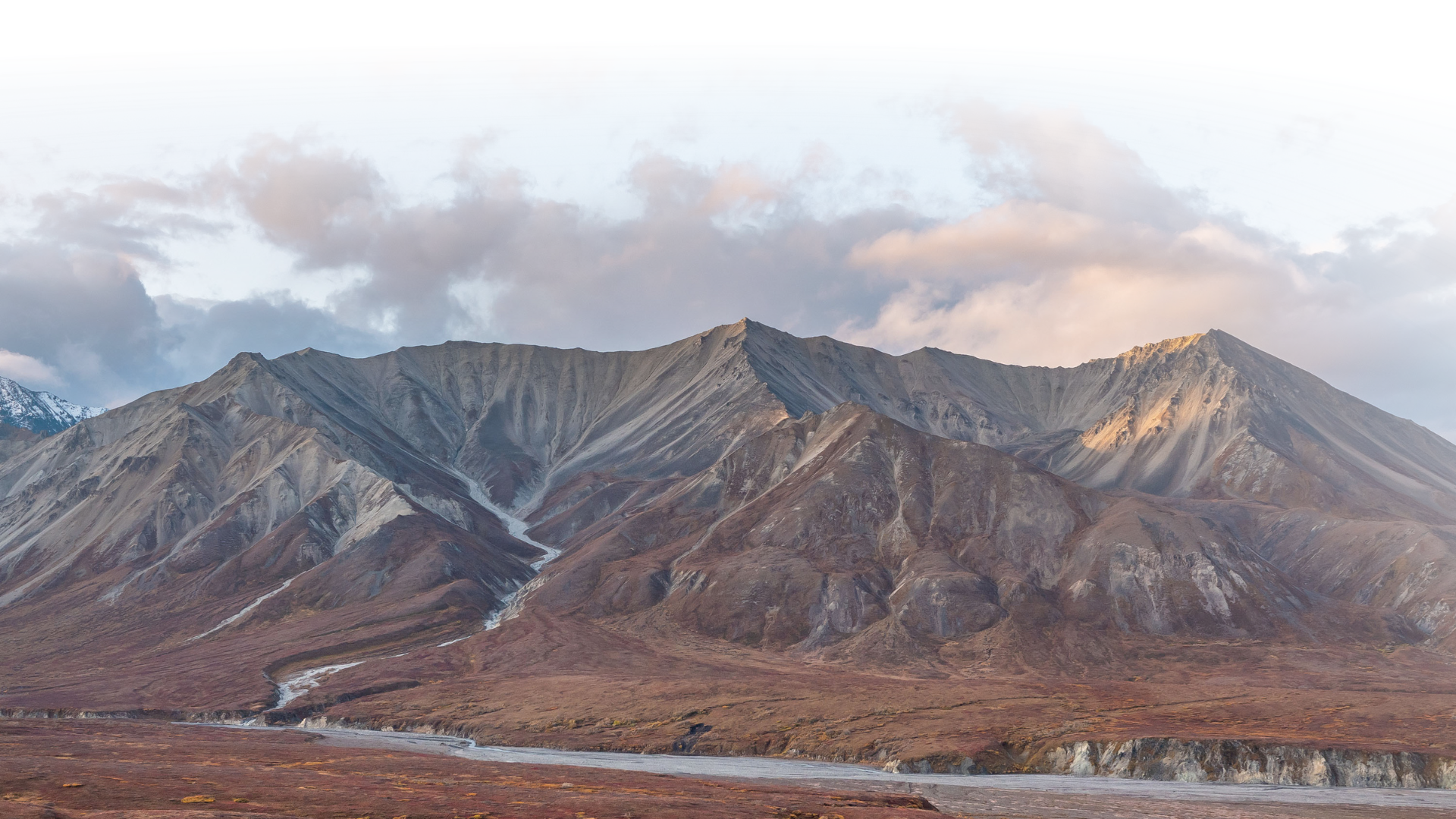 Denali National Park Landscape