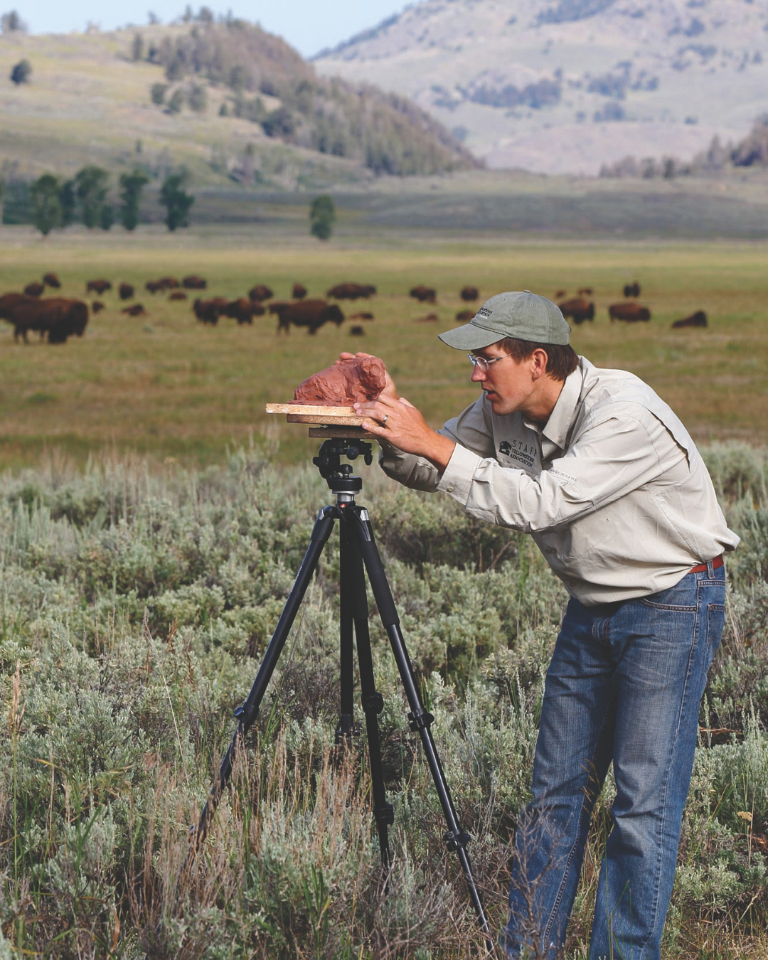 A man wearing glasses, a gray baseball cap, and a beige shirt is carefully sculpting a pinkish-brown model of a bison on a wooden platform mounted on a tripod in a grassy field with sagebrush. In the background, a herd of bison is grazing on the open plain, with hills and mountains in the distance under a clear sky.
