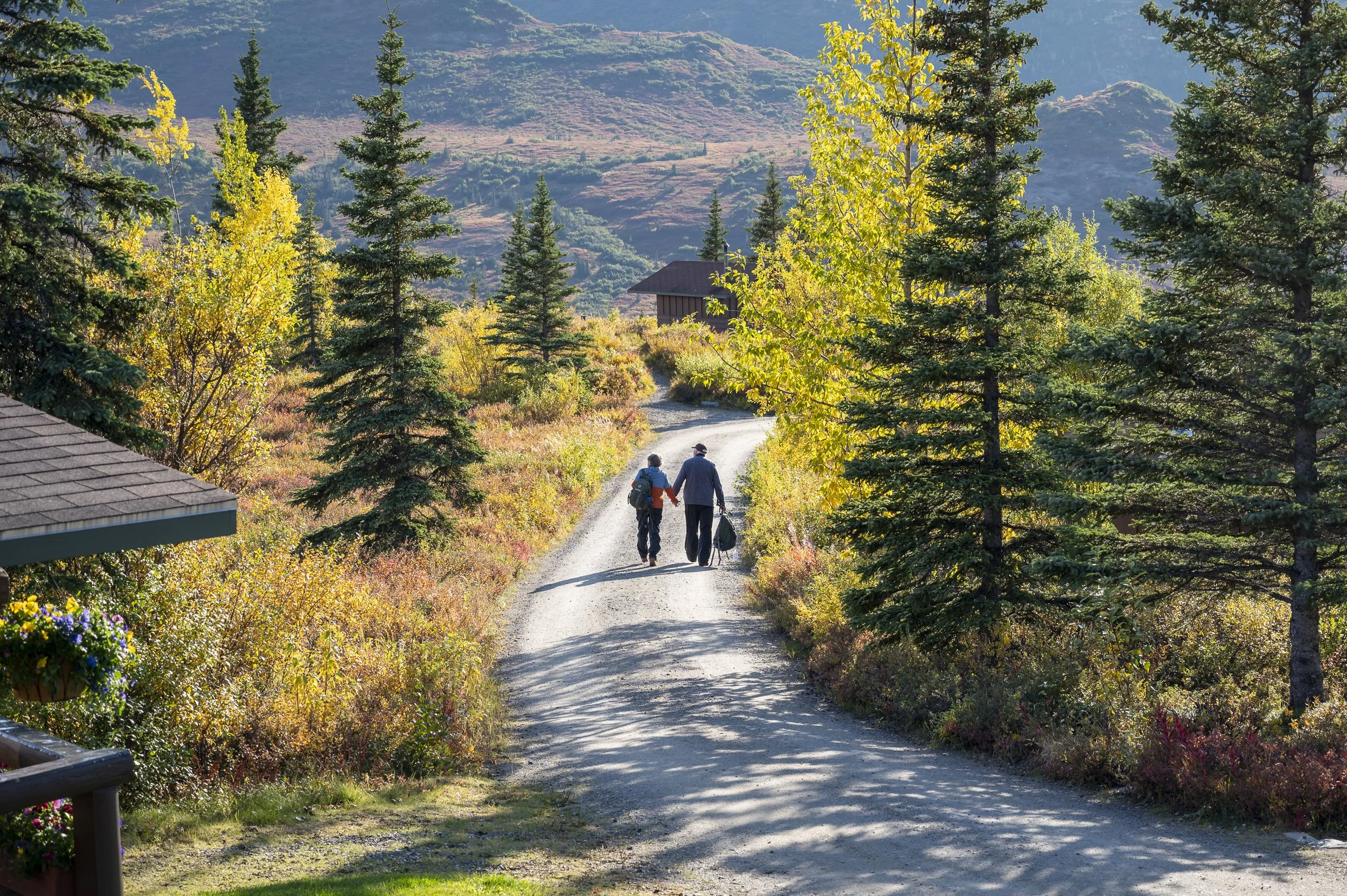 A couple walking down the driveway at Camp Denali