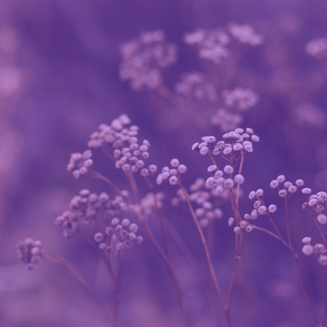 11: Understanding Insulin Resistance During Perimenopause