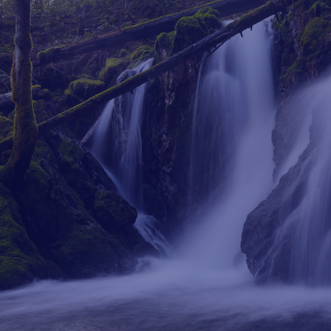 13: PCOS &amp; Perimenopause with Dr. Sonia Hans