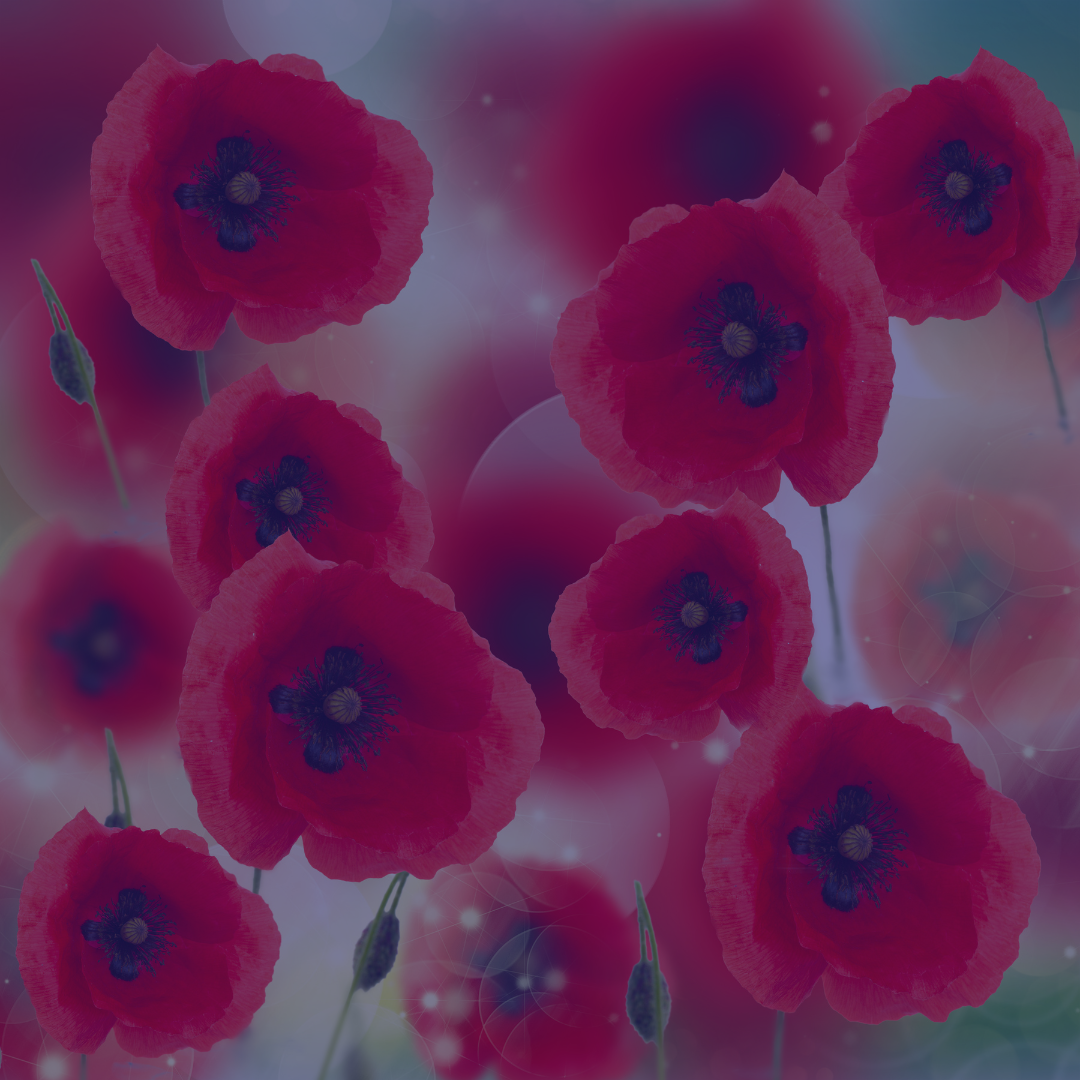 14: How to Sleep Better with Dr. Andrea Matsumura