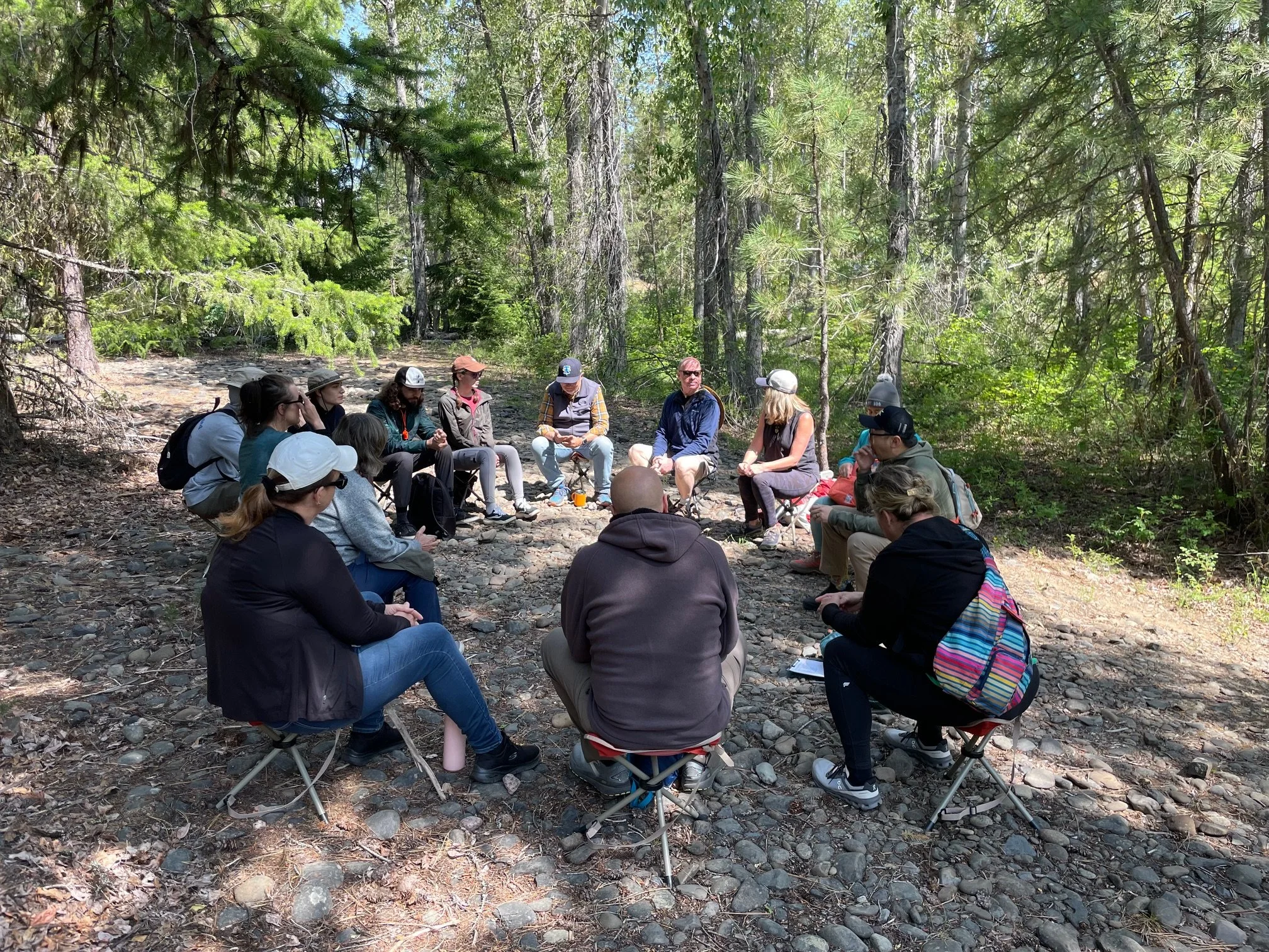 group in circle in a shady green forest