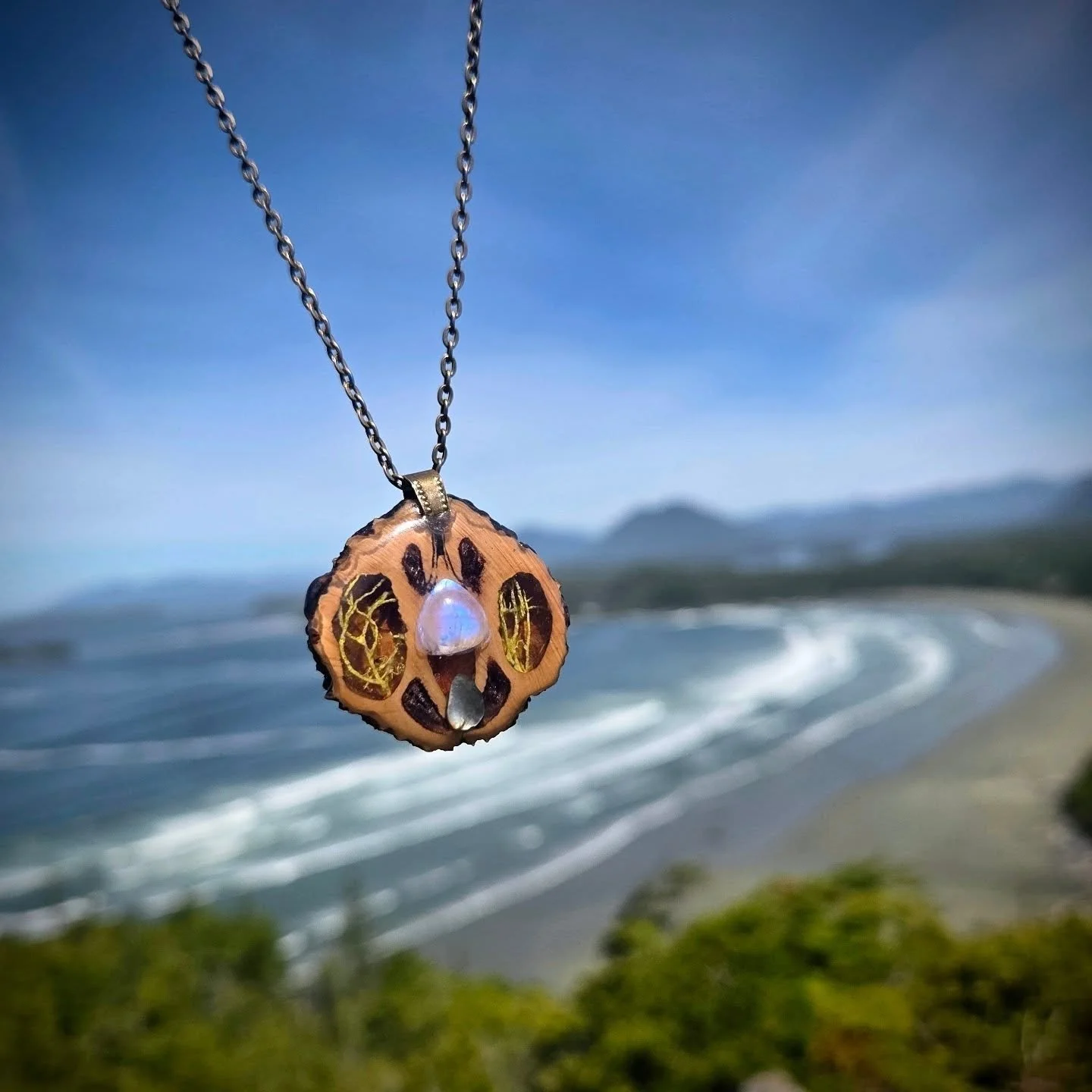 🌊✨ Where the forest meets the sea. ✨🌊

This one was inspired by the wild beauty of Vancouver Island. Crafted from a walnut shell and filled with treasures that remind me of nature&rsquo;s magic&mdash;hidden roots, ocean energy, and the quiet wonder