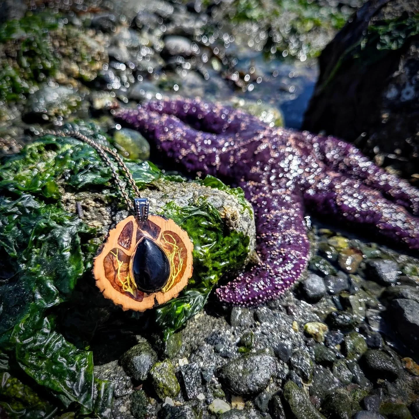 Finding inspiration along the coast of Vancouver Island 💖🩵💜

www.saraannaart.com
.
.
.
.
.

#starfish #hippiejewellery #canadianjewelry #naturaljewelry  #westcoast