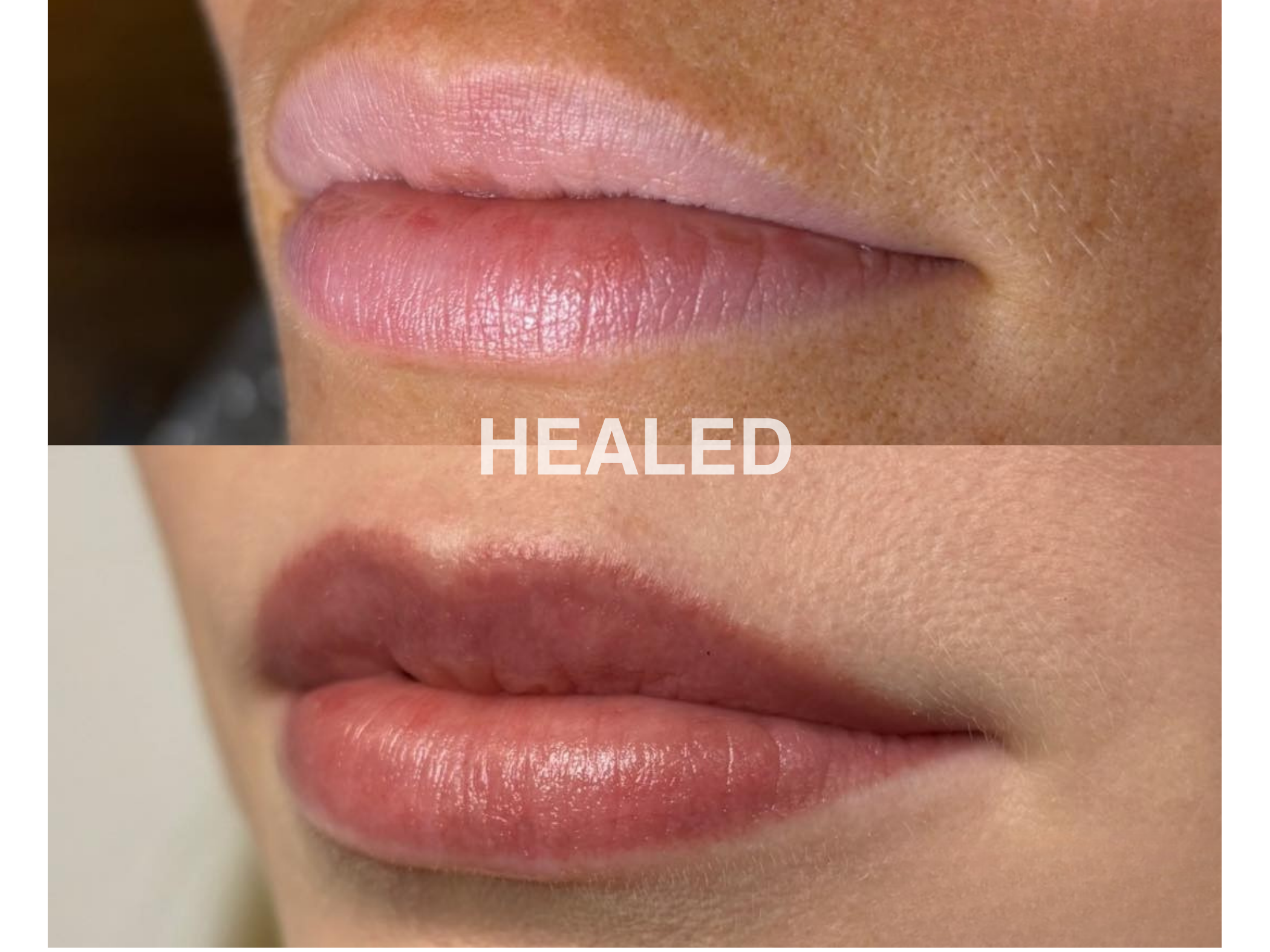 Untitled design (1).png