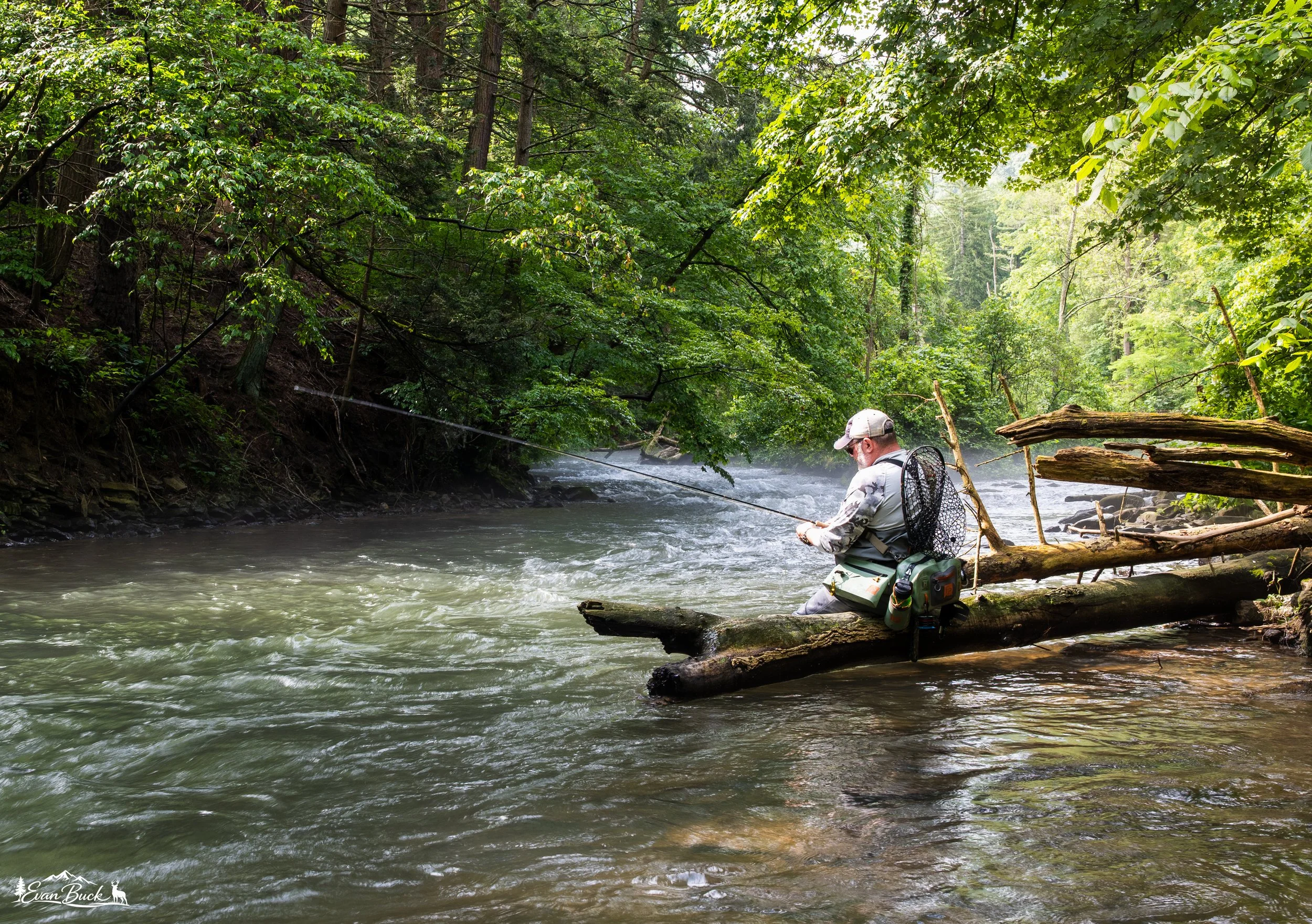 A person fishing in a river surrounded by lush green trees and foliage.