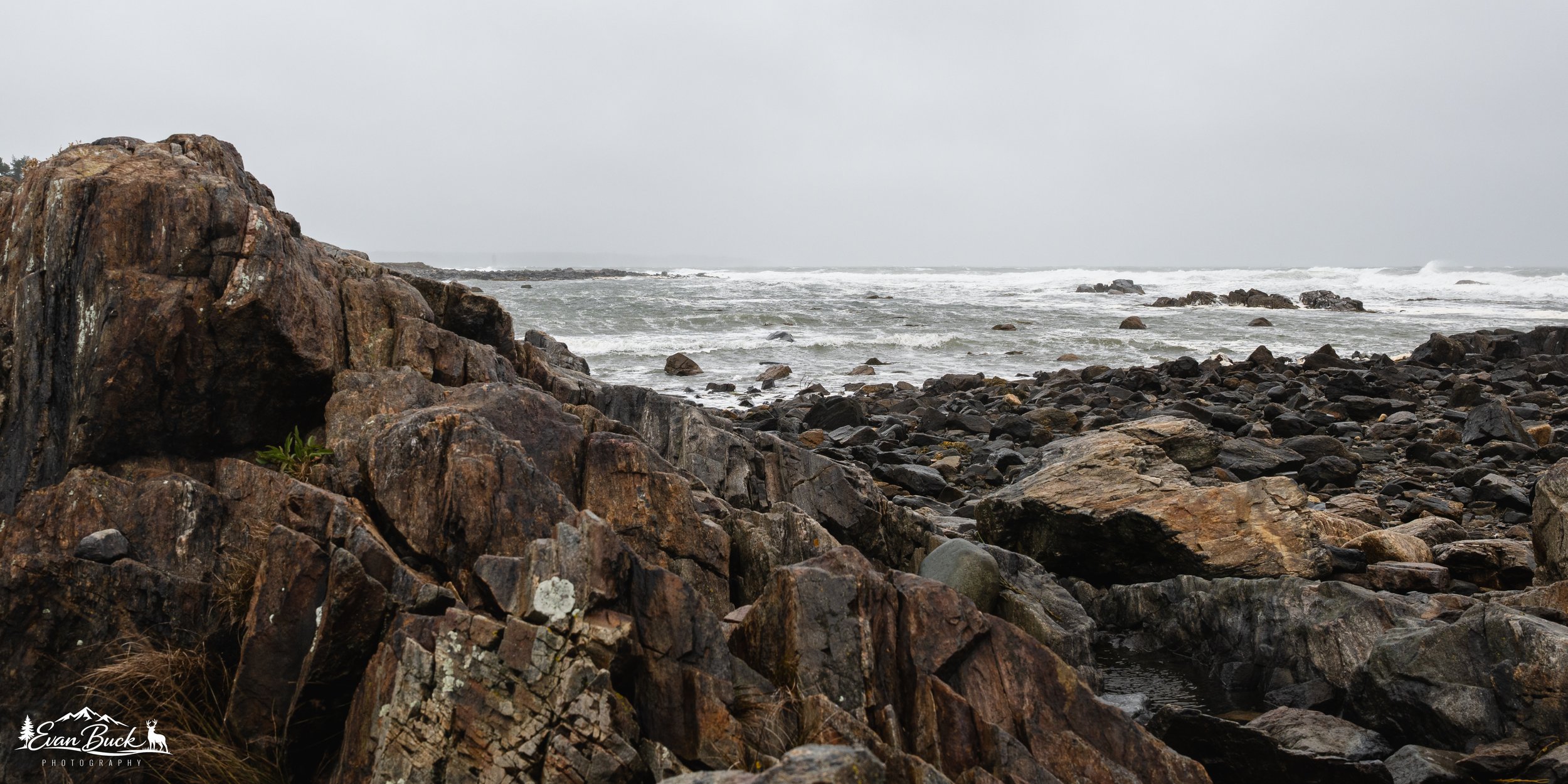 DSC_8526.jpg