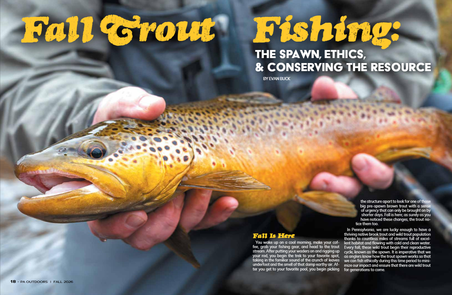 Person holding a brown trout fish, with the head and part of the body visible, in outdoor setting for fall trout fishing article